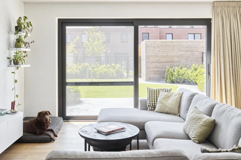 Modernes Wohnzimmer mit großem Sofa, Hund, Couchtisch und Blick in den Garten.